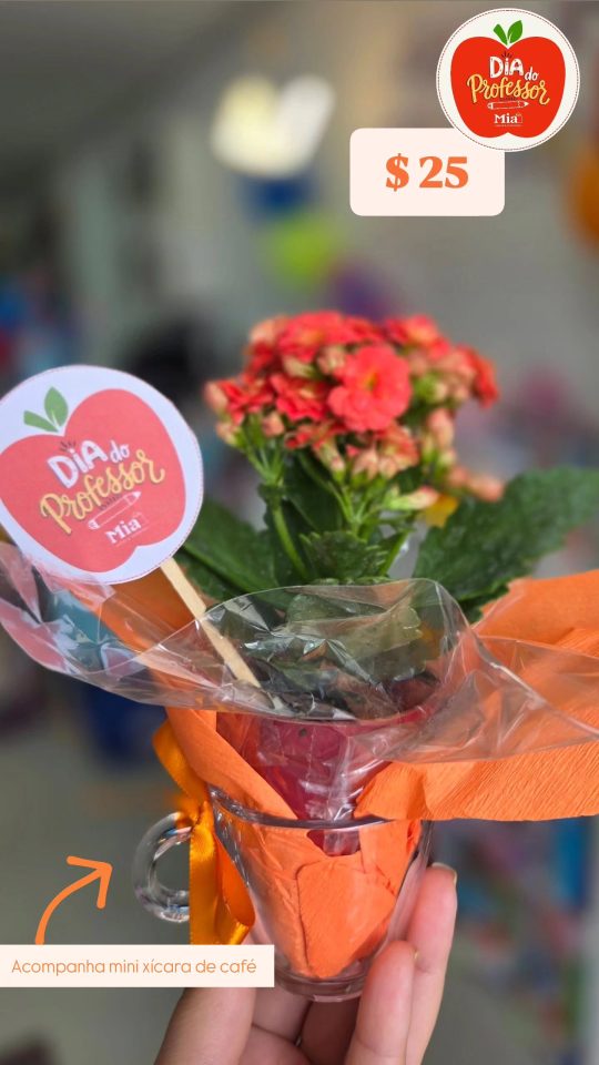 Vasinho com flores vermelhas, mini xícara e embalagem laranja com tag de Dia do Professor.