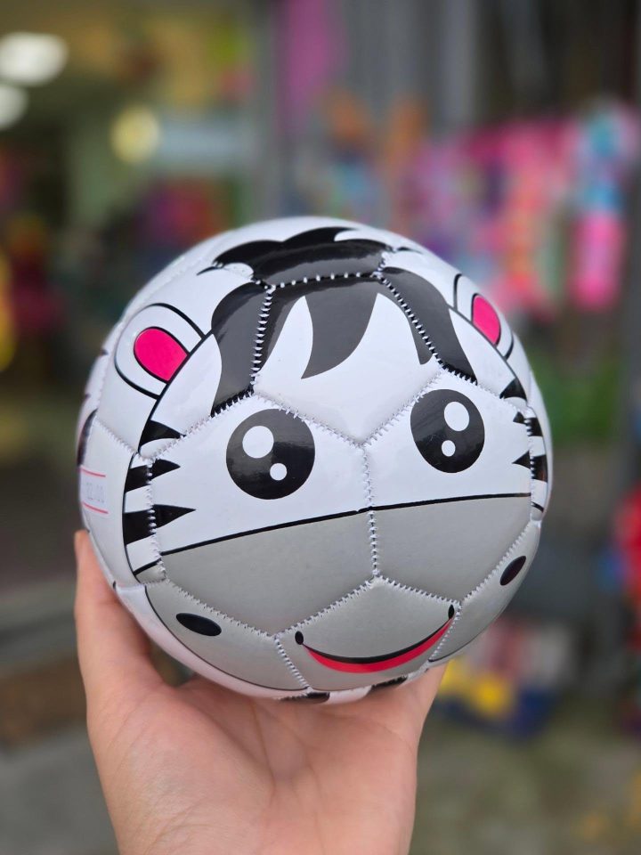 Uma bola de presente: futebol, vôlei ou basquete? — imagem publicada pela Mia