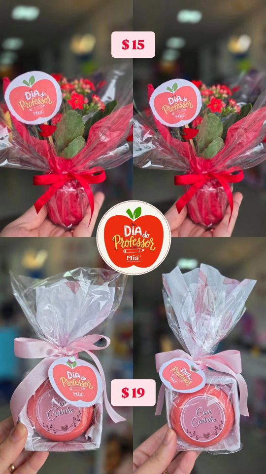 Colagem do Story da Mia com vasinhos floridos de laço vermelho e outra lembrança embrulhada em rosa.